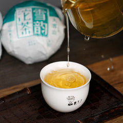 HelloYoung Lincang Big Snow Mountain * DR. PU'ER TEA Xueyun Tuocha Puer Raw Tea 500g