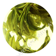 HelloYoung HELLOYOUNG 100g Top Xihu Longjing DragonWell Chinese Green Tea Spring Loose Leaf