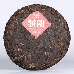 HelloYoung Haiwan Blazing Sun Ripe Puerh Chinese Tea "Jiao Yang" Shu Puer Tea 357g