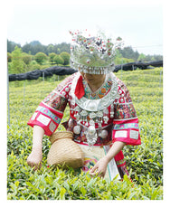 HelloYoung 100g Organic Matcha Green Tea Powder 100% Natural Slimming Tea