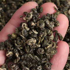 HelloYoung BiLuoChun Green Snail Spring Bi Luo Chun Spring Pi Lo Chun Yunnan Green Tea