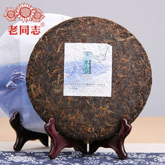 HelloYoung Authentic Haiwan Puer Tea Cake "Winter" Dong Xue Pu Erh Tea Pressed Tea 400g