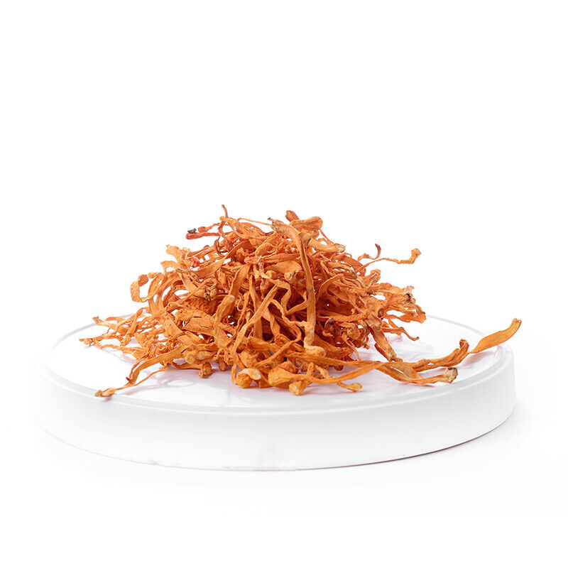 HelloYoung China Herbal Cordyceps Flower Ecology Cordyceps Militaris/Chong Cao Hua 50g-500g