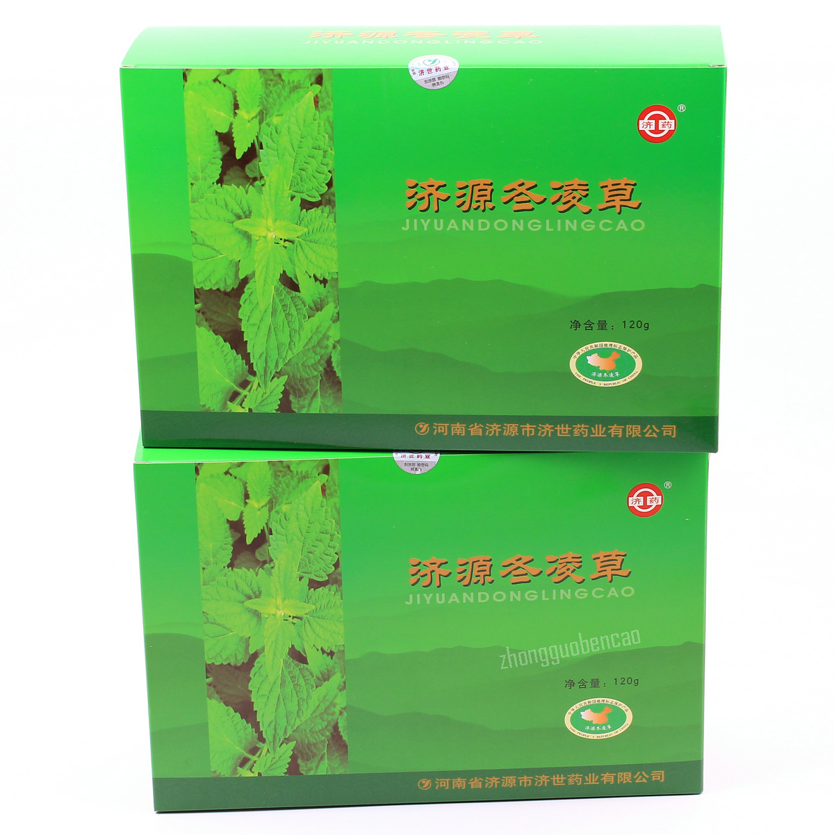 2 Boxes (240 Bags Totally) Jishi Donglingcao Cha 济世冬凌草茶