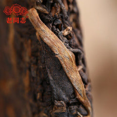 HelloYoung Haiwan Ripe Puerh Tea "liang Gong Chang Ling " Premium Shu Puer Tea 400g