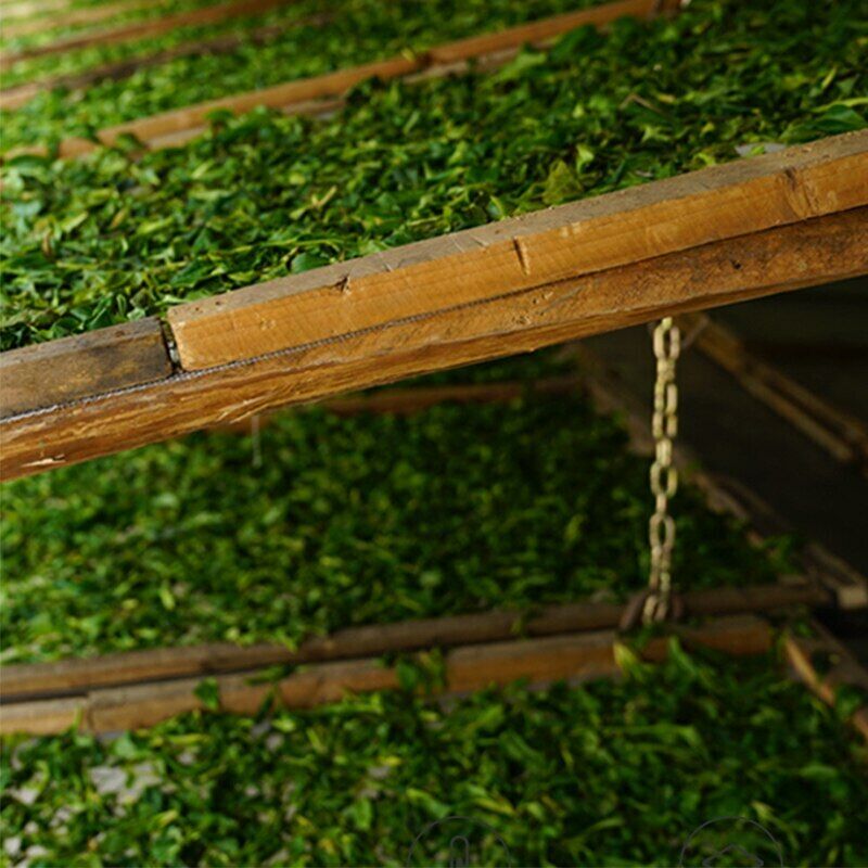 HelloYoung Premium Handmade Yunnan Moonlight Beauty White Tea loose leaf 50g