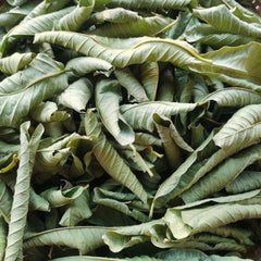 HelloYoung 100% Original Raw Guava Leaves Herbal Tea Weight Loss Fat Burner Skin Care