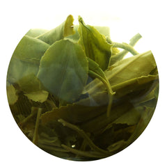HelloYoung HELLOYOUNG 250g Premium Suzhou Biluochun Green Tea Spring Chinese Pi lo Chun