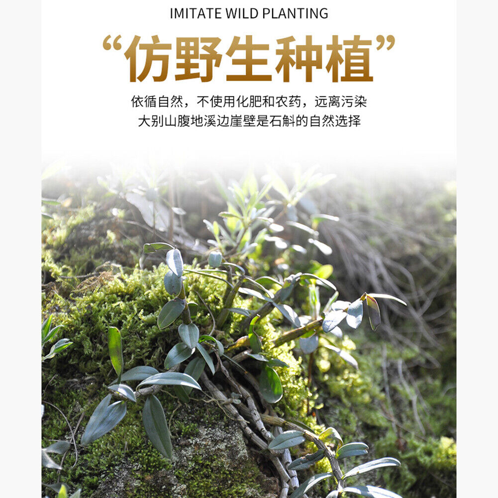 HelloYoung 100%pure Shihu Tiepi Dendrobium Powder Natural Health HerbalTea修正霍山铁皮石斛粉纯粉天然保健草本