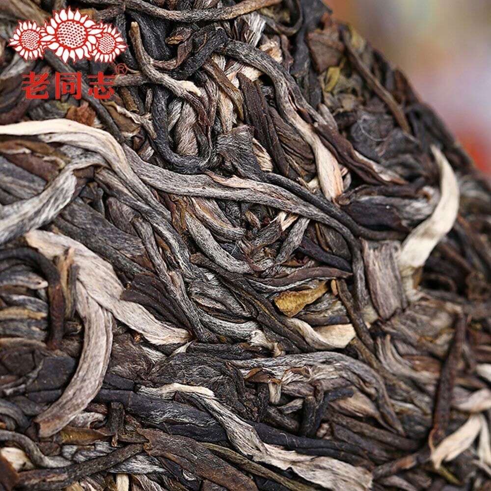 HelloYoung High Quality Natural Tea "Zhu Yuan Yu Run" Cha Puerh Haiwan Sheng Puerh400g