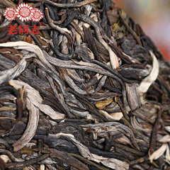 HelloYoung High Quality Natural Tea "Zhu Yuan Yu Run" Cha Puerh Haiwan Sheng Puerh400g
