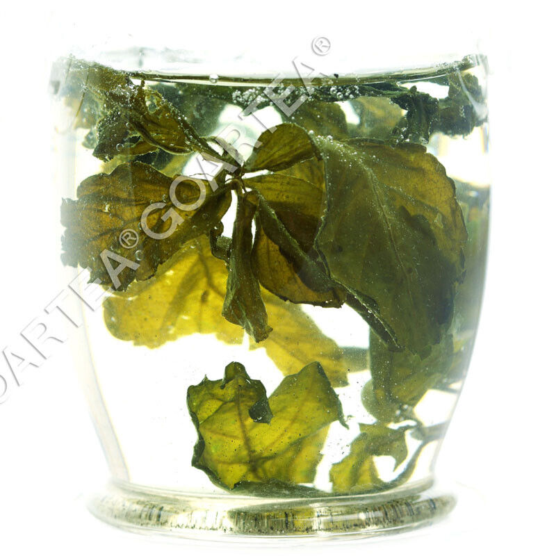 GOARTEA 250g Premium Jiaogulan Tee Gynostemma Pentaphyllum Kräutertee Grüner Tee