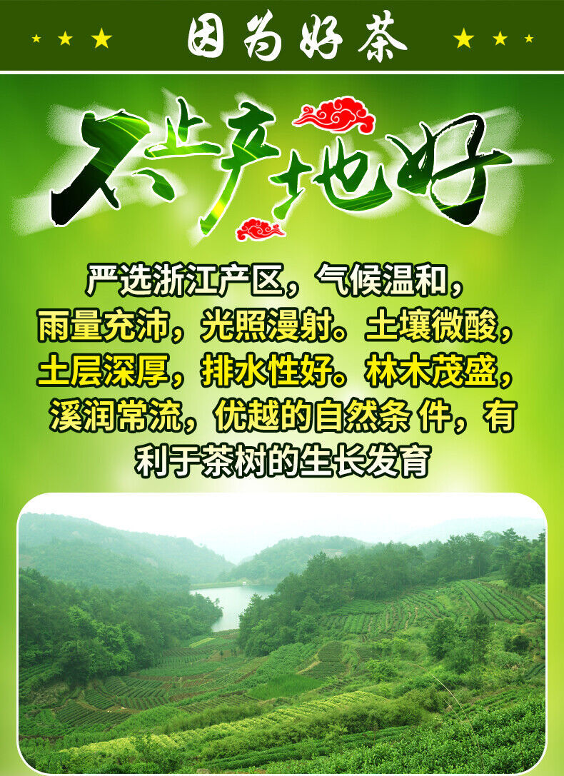 HelloYoung Chinese Premium Dafo Long Jing Dragon Well Green Tea Longjing Loose Tea 250g Tin