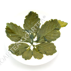 GOARTEA 250g Premium Jiaogulan Tee Gynostemma Pentaphyllum Kräutertee Grüner Tee
