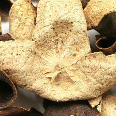 XinHui "Chen Pi" ShuangShui Area Full Red Peel Herbal Dried Tangerine 50g