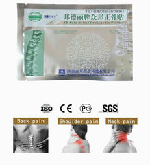 邦德丽牌众邦正骨贴 20贴 Bang De Li Pai Zong Bang Zheng Gu Tie 20pcs