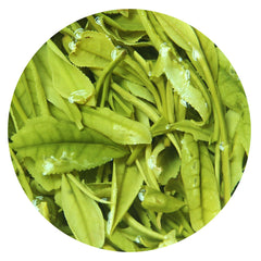 HelloYoung HELLOYOUNG Premium Anji Baicha Baipian White Slice Tea Spring Chinese GREEN TEA