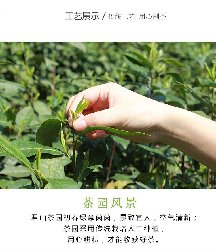 HelloYoung Chinese Hunan Mao Jian Green Tea JUN SHAN WANG Ming Qian Spring New Tea 250g