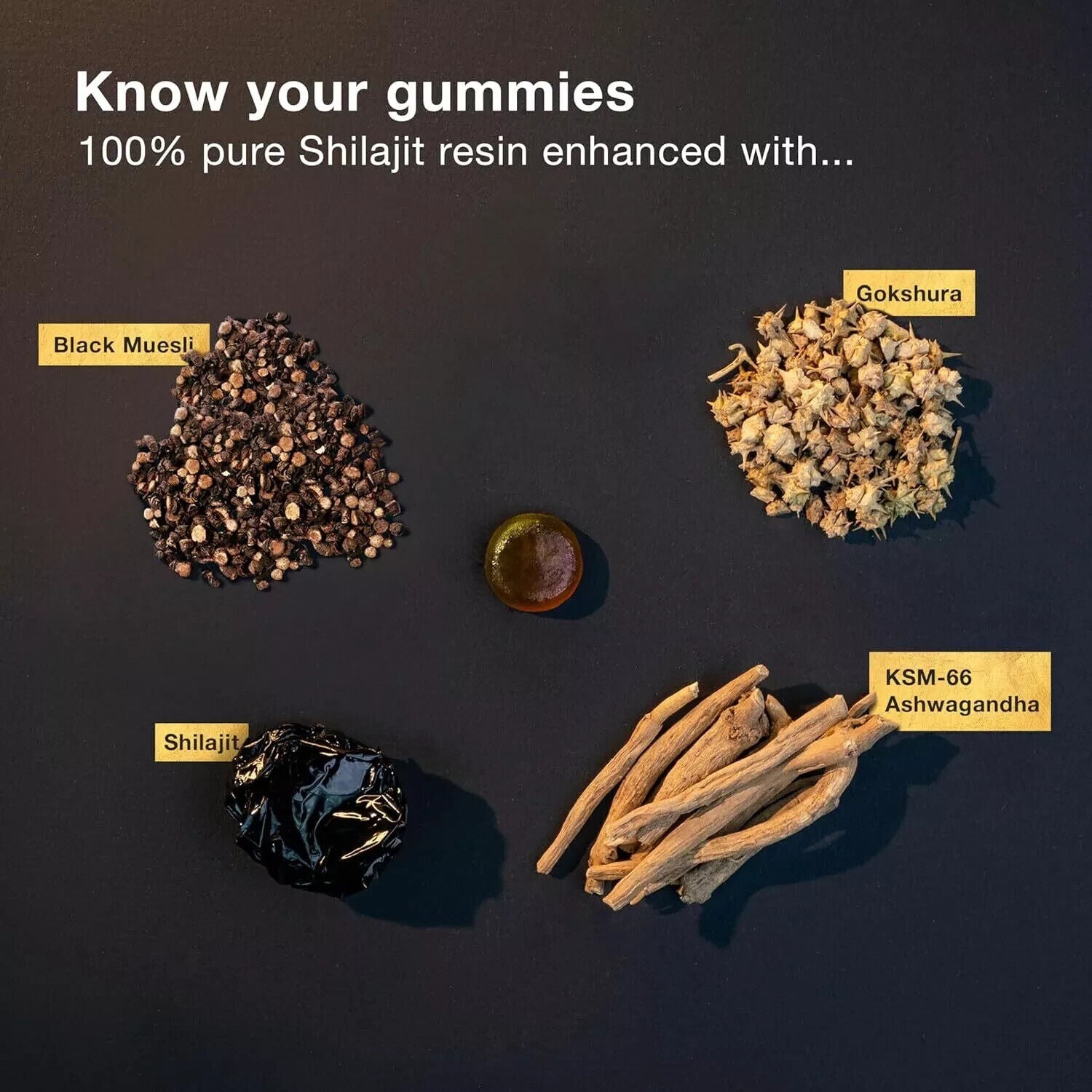 Immune Support Himalayan Shilajit Gummies Ashwagandha,Chaga Mushroom Healthy