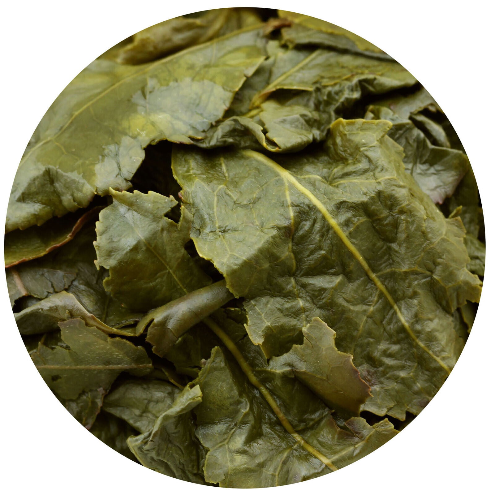 GOARTEA 30Pcs*8g Top Tie Guan Yin Oolong Tea Fujian High Mount Iron Goddess Tee