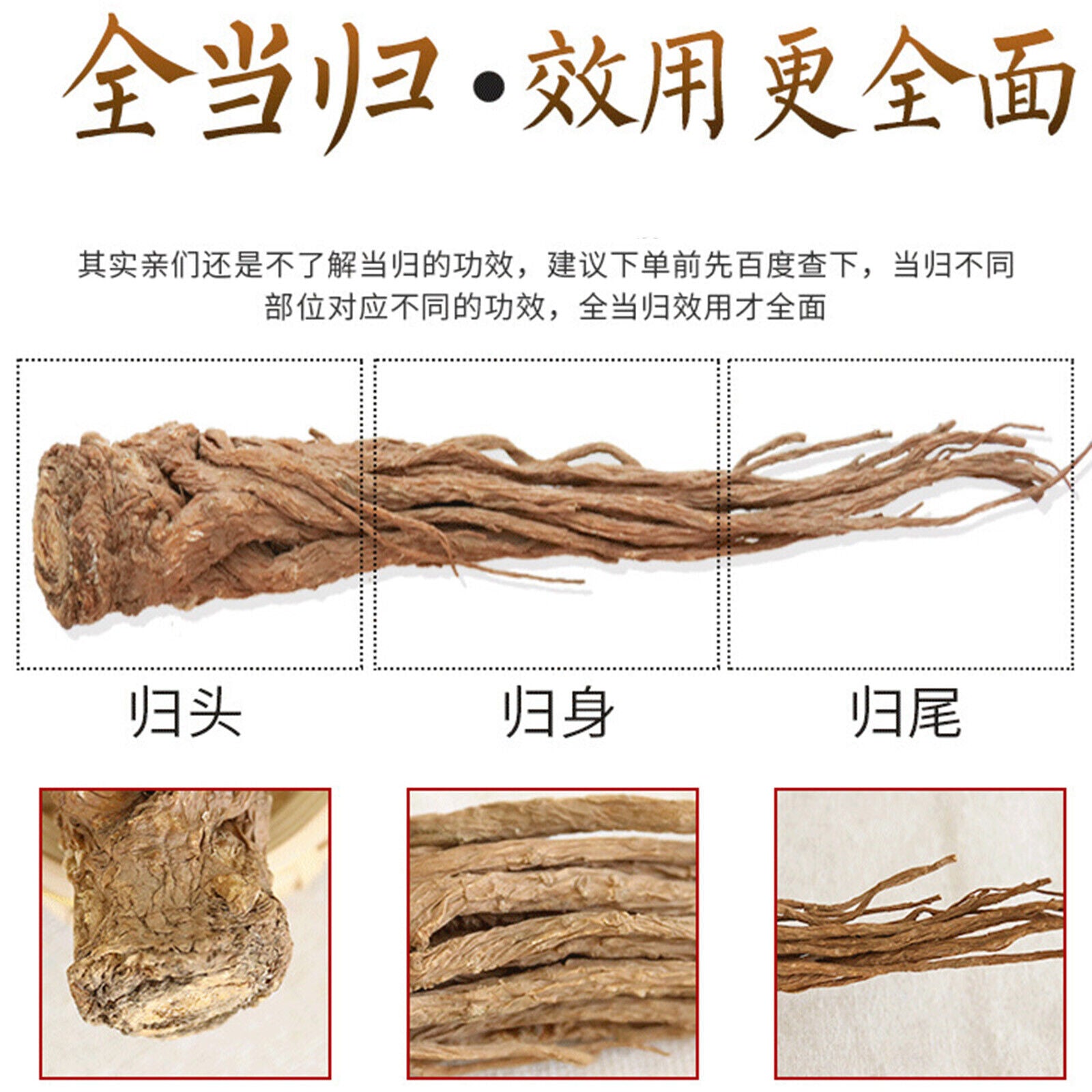 Organic Angelica Whole Root Herbal Tea Danggui 250g-500g Chinese Herbs Medicine