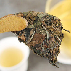 HelloYoung White Tea Xiao Bai Tian Bai Cha Alpine Old Tree Tea Yunnan White Tea 100g