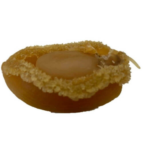 Da Lian Gan Bao Yu Zhong Ha Gan Bao Yu大连干鲍鱼中号干鲍鱼