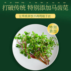 Beijing Tongrentang Ju Ju Ma Chi Xian Cha Jujumachixiancha北京同仁堂菊苣马齿苋茶