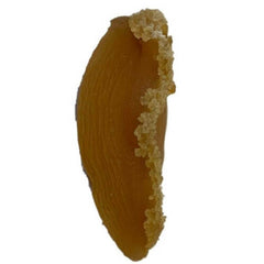 Da Lian Gan Bao Yu Zhong Ha Gan Bao Yu大连干鲍鱼中号干鲍鱼