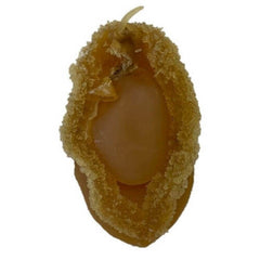 Da Lian Gan Bao Yu Zhong Ha Gan Bao Yu大连干鲍鱼中号干鲍鱼