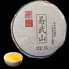 HelloYoung 100g High Quality cha Puer Tea Pu erh Yunnan Pu-erh Green Tea Premium Puerh Tea